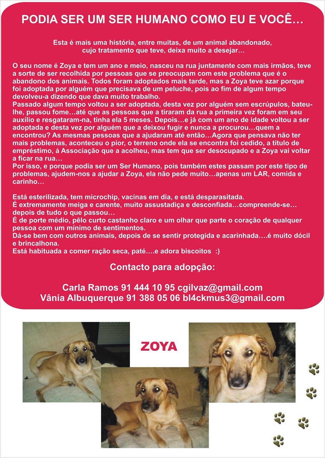 [Zoya[1].JPG]